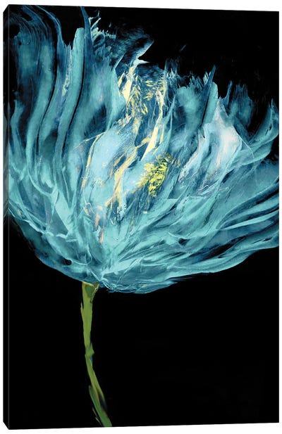 Aqua Tulips I Canvas Art Print - Vanessa Austin