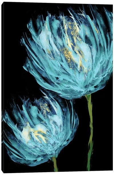 Aqua Tulips II Canvas Art Print - Vanessa Austin