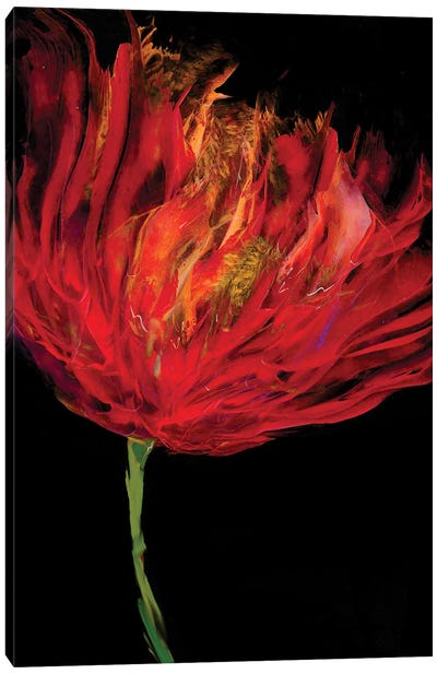 Red Tulips I Canvas Art Print - Tulip Art
