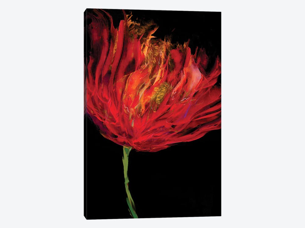 Red Tulips I by Vanessa Austin 1-piece Canvas Art Print