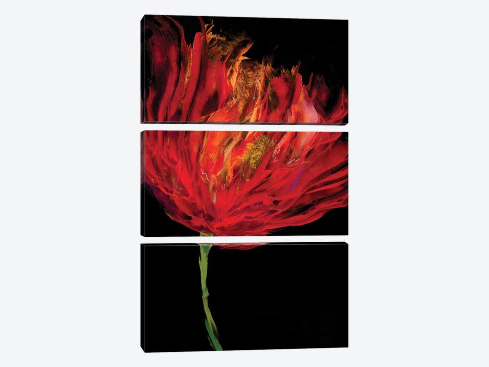 Red Tulips I by Vanessa Austin 3-piece Art Print