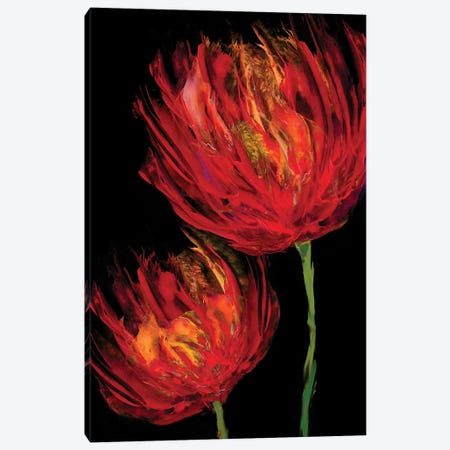 Red Tulips II Canvas Print #AUS41} by Vanessa Austin Art Print