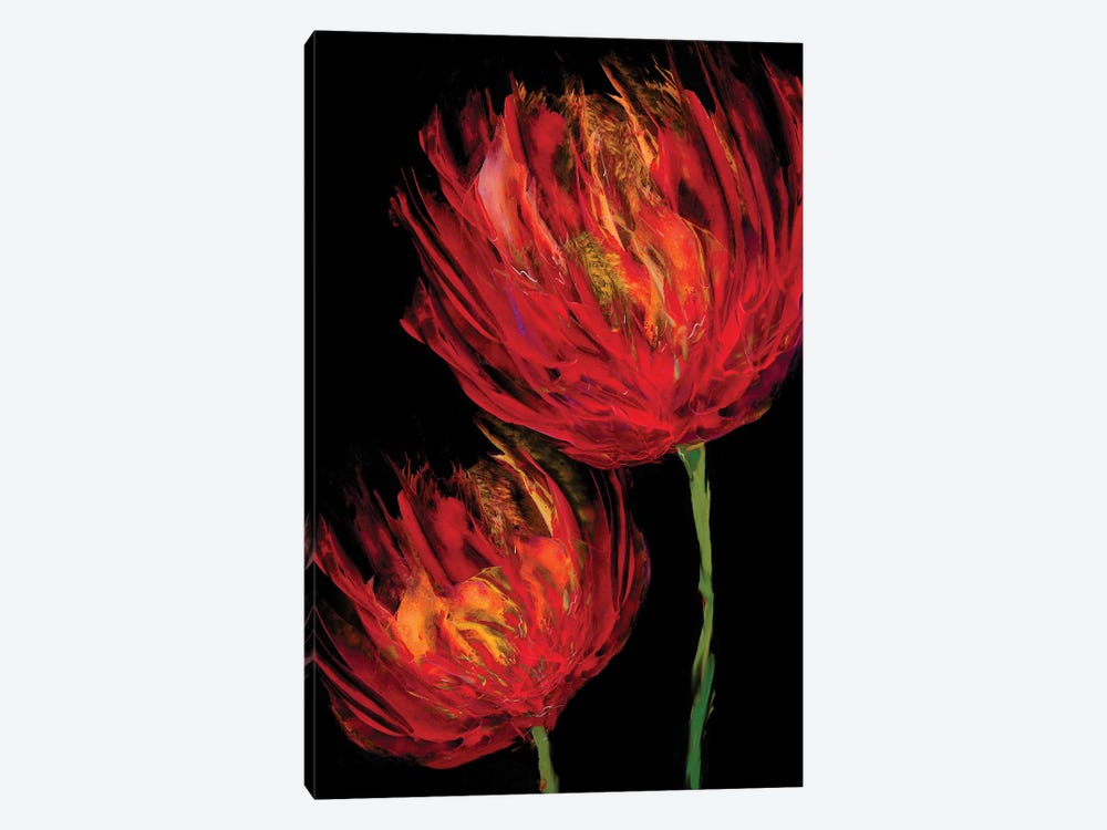 Red Tulips II by Vanessa Austin 1-piece Canvas Wall Art