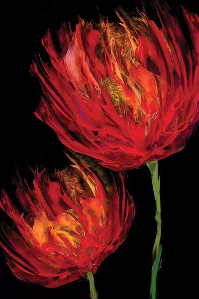 Tulips: Red Tulips II by Vanessa Austin