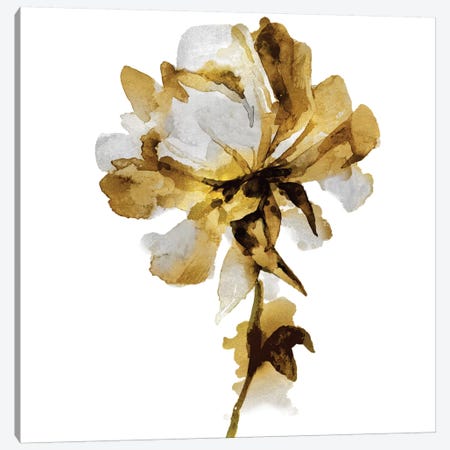 Fresh Bloom I Canvas Print #AUS54} by Vanessa Austin Canvas Print