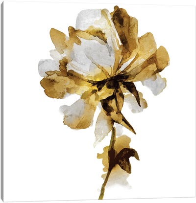 Fresh Bloom I Canvas Art Print - Vanessa Austin