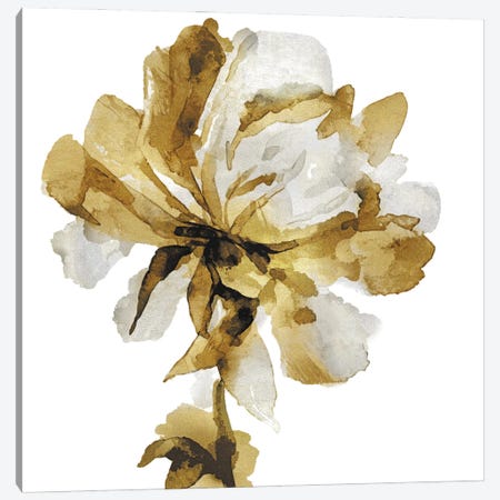Fresh Bloom III Canvas Print #AUS56} by Vanessa Austin Canvas Art Print