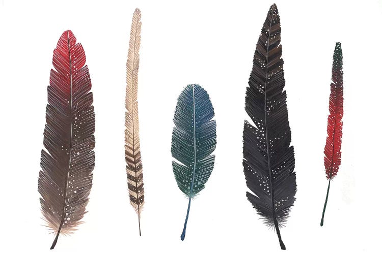 Feathers I