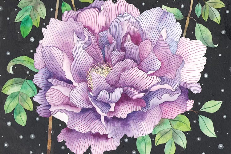Midnight Bloom by Ana Victoria Calderón wall art