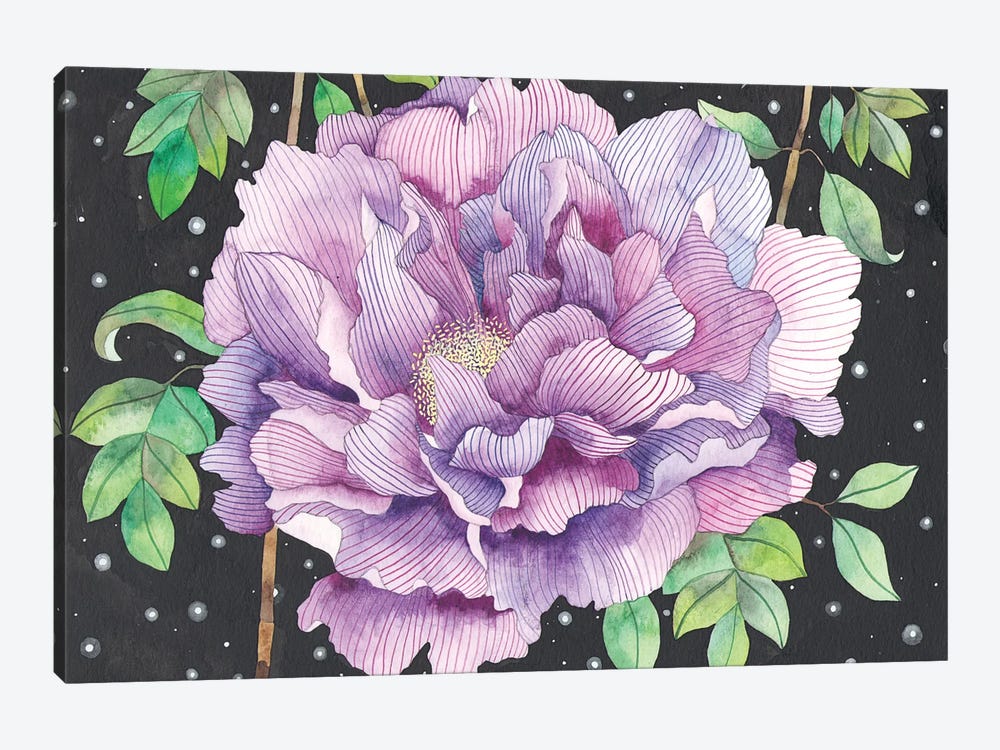 Midnight Bloom by Ana Victoria Calderón 1-piece Canvas Wall Art