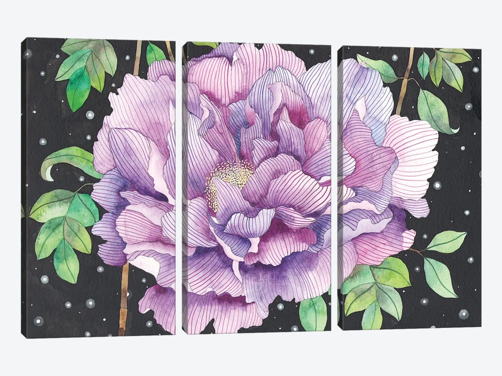 Midnight Bloom by Ana Victoria Calderón 3-piece Canvas Art