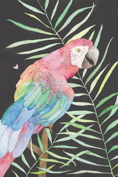 Parrots: Parrot by Ana Victoria Calderón
