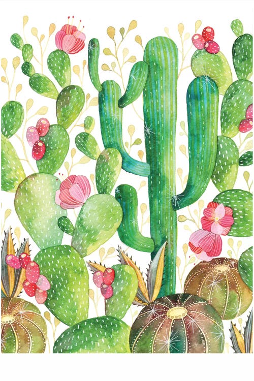 Cacti