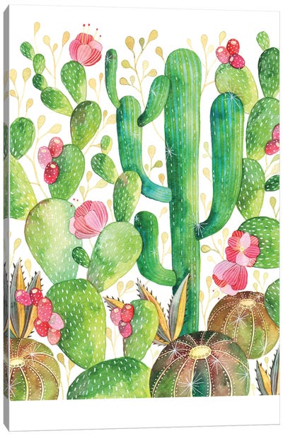 Cacti Canvas Art Print - Ana Victoria Calderón