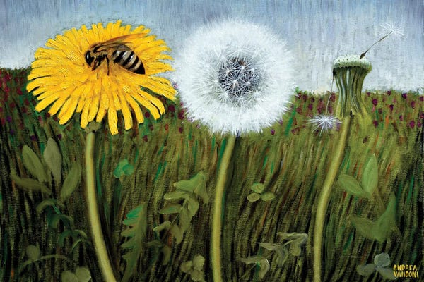 Dandelions: The Three Ages by Andrea Vandoni