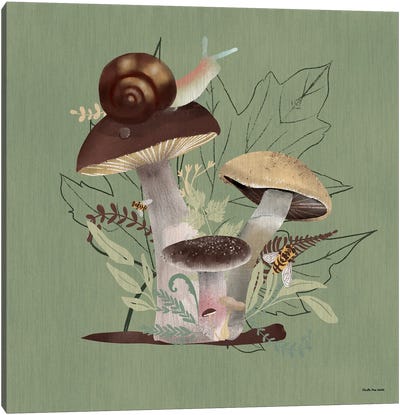 A Walk In The Woods IV Canvas Art Print - Mushroom Art