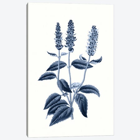 Vintage Blue Botanical VI Canvas Print #AVN11} by Amelie Vintage Co Canvas Art Print