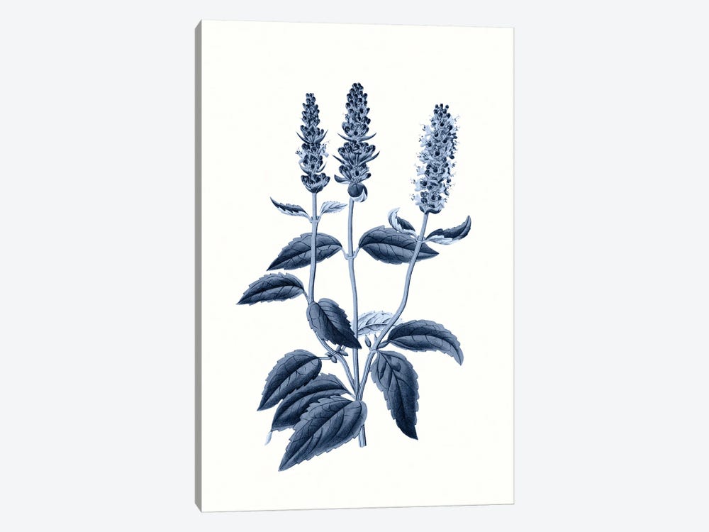 Vintage Blue Botanical VI by Amelie Vintage Co 1-piece Art Print