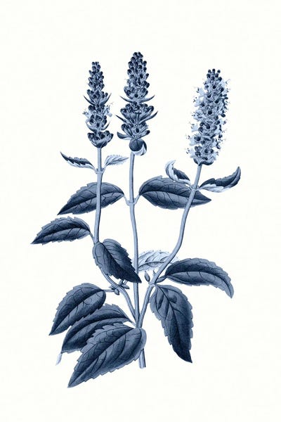 Charming Blue: Vintage Blue Botanical VI by Amelie Vintage Co