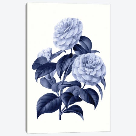 Vintage Blue Botanical X Canvas Print #AVN15} by Amelie Vintage Co Canvas Art