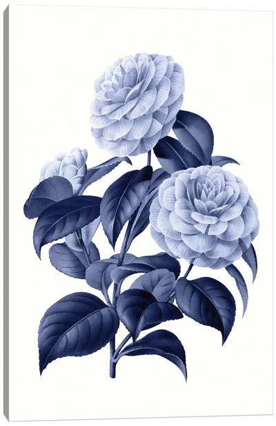 Vintage Blue Botanical X Canvas Art Print - Amelie Vintage Co