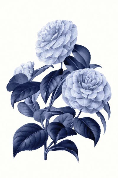 Amelie Vintage Co: Vintage Blue Botanical X by Amelie Vintage Co