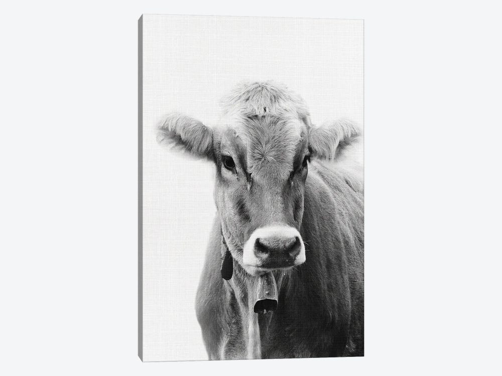 Cow I by Amelie Vintage Co 1-piece Canvas Artwork