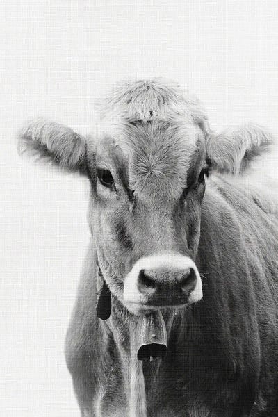Amelie Vintage Co: Cow I by Amelie Vintage Co