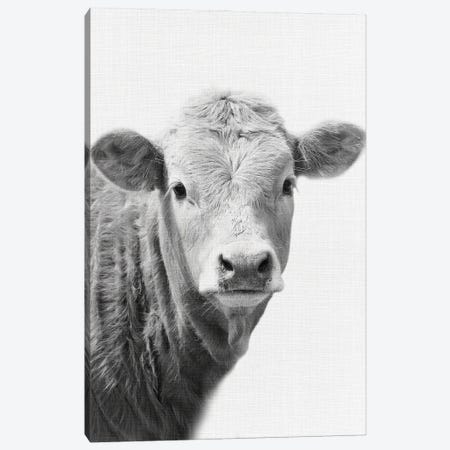 Cow II Canvas Print #AVN22} by Amelie Vintage Co Canvas Art