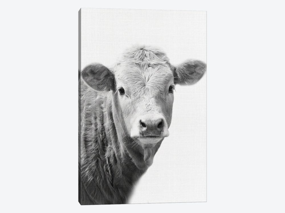 Cow II by Amelie Vintage Co 1-piece Art Print