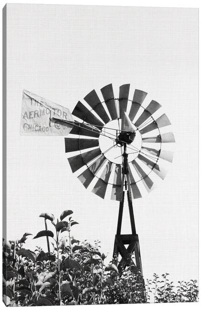 Windmill I Canvas Art Print - Farmhouse Kitchen Art