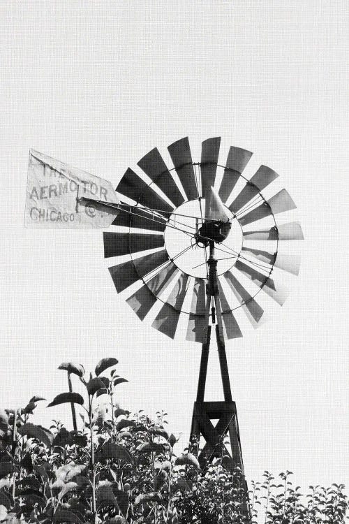 Windmill I