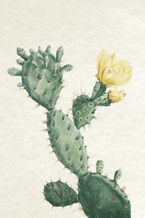 Vintage Cactus I