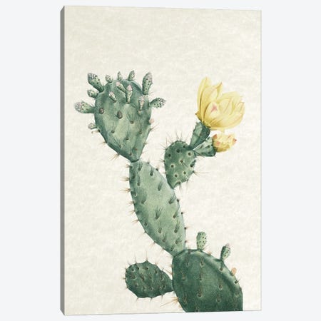 Vintage Cactus I Canvas Print #AVN27} by Amelie Vintage Co Canvas Print