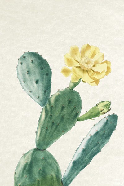 Vintage Cactus II by Amelie Vintage Co art print