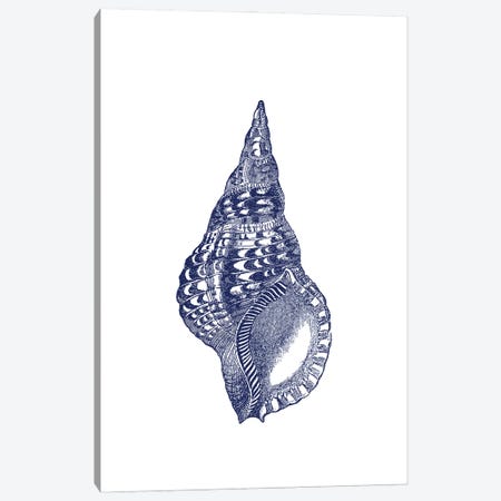Blue Shell I Canvas Print #AVN2} by Amelie Vintage Co Canvas Art