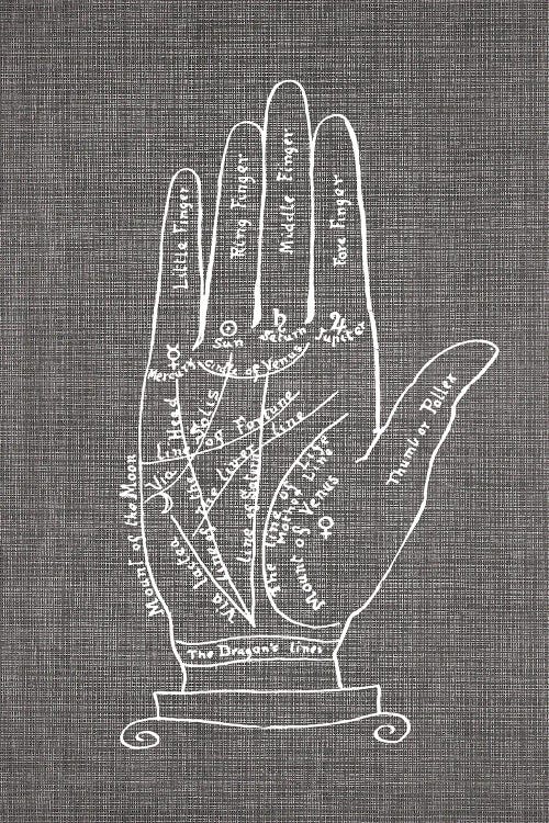 Palmistry by Amelie Vintage Co wall art