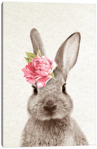 Bunny Canvas Art Print - Rabbit Art