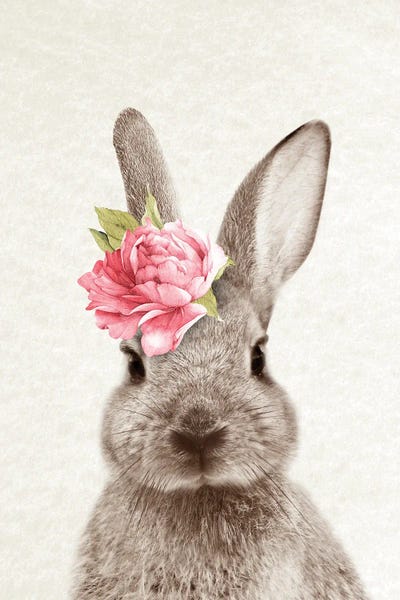 Shabby Chic Décor: Bunny by Amelie Vintage Co