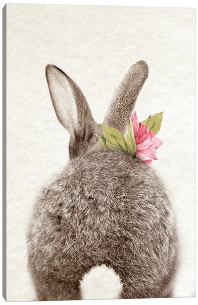 Bunny Tail Canvas Art Print - Rabbit Art