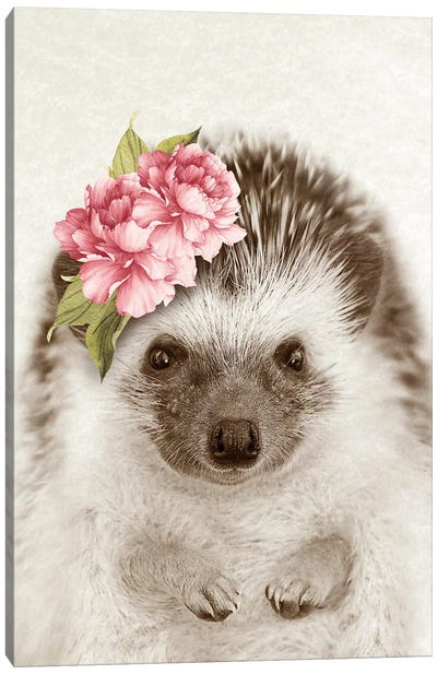 Floral Hedgehog Canvas Art Print - Hedgehogs