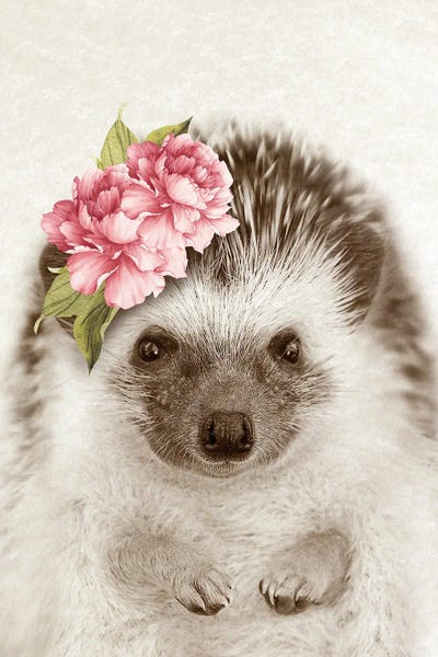 Hedgehogs: Floral Hedgehog by Amelie Vintage Co
