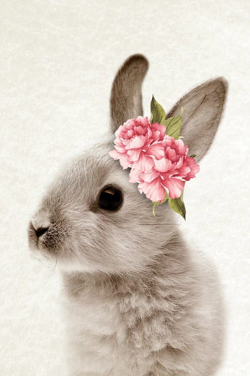 Floral Bunny II