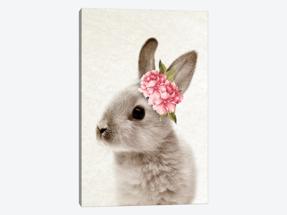 Floral Bunny II by Amelie Vintage Co 1-piece Canvas Wall Art