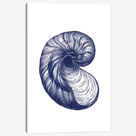 Blue Shell II Canvas Print #AVN3} by Amelie Vintage Co Canvas Art