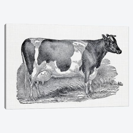 Dairy Cow Canvas Print #AVN41} by Amelie Vintage Co Canvas Artwork