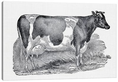 Dairy Cow Canvas Art Print - Amelie Vintage Co