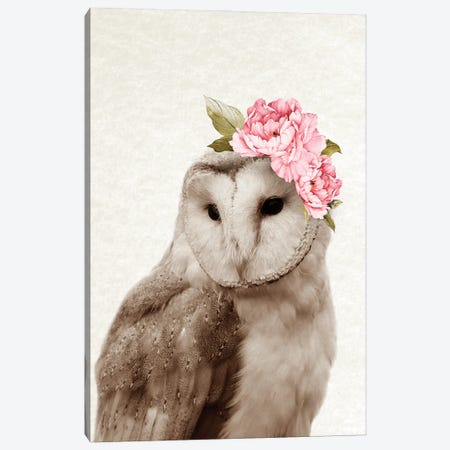 Floral Owl Canvas Print #AVN45} by Amelie Vintage Co Canvas Print
