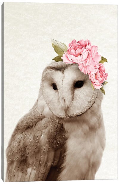Floral Owl Canvas Art Print - Amelie Vintage Co