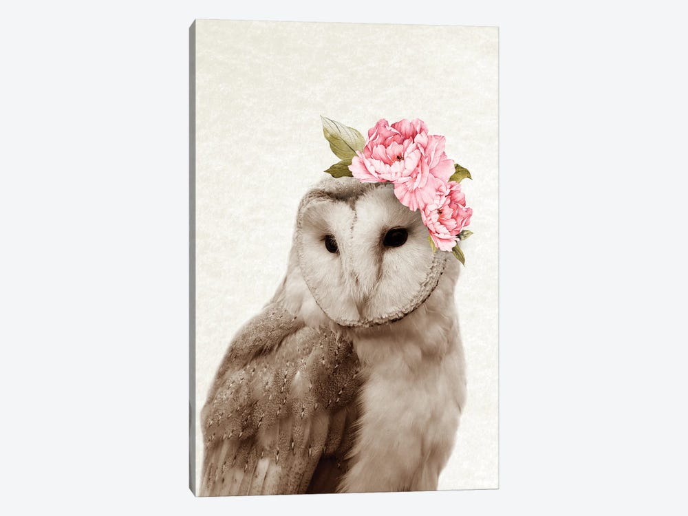 Floral Owl by Amelie Vintage Co 1-piece Canvas Art